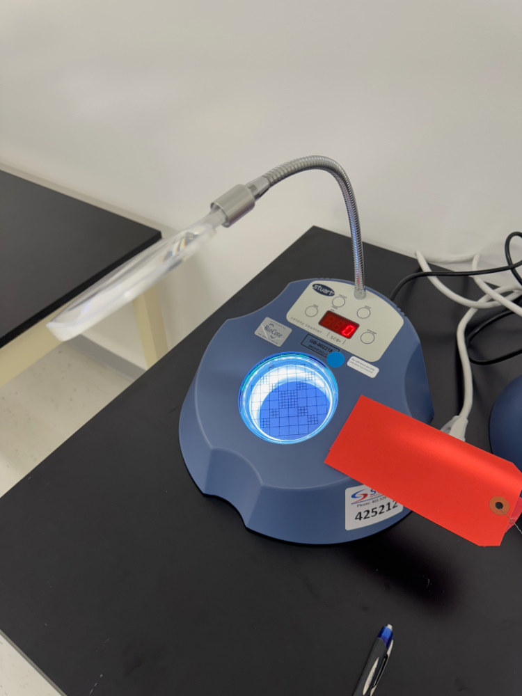 Image of Stuart SC6+ Colony Counter